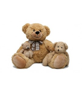 Maman Ours et ses oursons